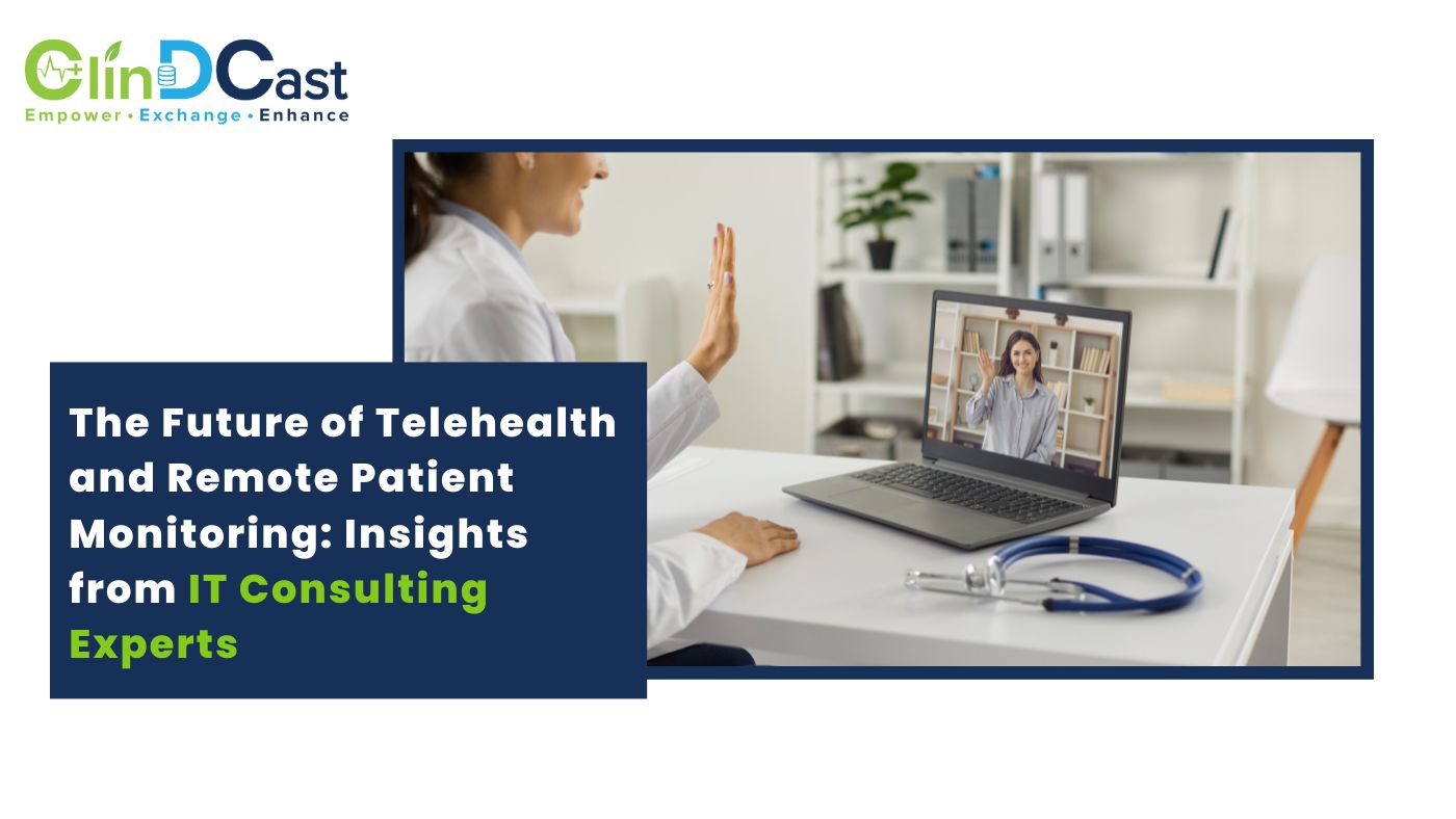 The Future of Telehealth and Remote Patient Monitoring: Insights from IT Consulting Experts